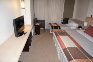 Hotel Bosque de Reñaca - Viña del Mar - 3