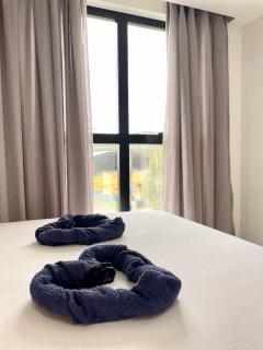 Conchas de Palmas - 2