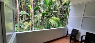 Hosamane Farm Inn - Sringeri - 1