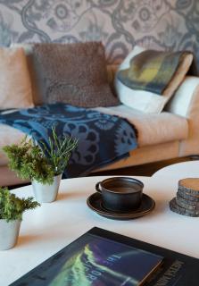 Ylläs with a view - 1