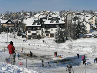 Moja kuća Zlatibor - Zlatibor - 8