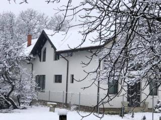 Pensiunea Crețișoara - Cîmpulung - 7