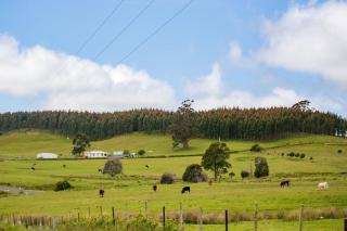 3 Hills at The Good Place - Staverton - 3
