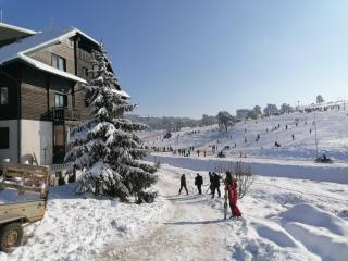 Moja kuća Zlatibor - Zlatibor - 7