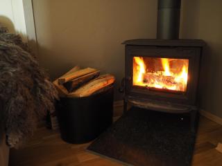 Cabin with great view close to town and ski area - 1