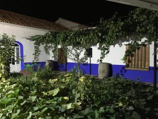 Casa (tipo) RURAL MANCHEGA - La Alameda de Cervera - 0