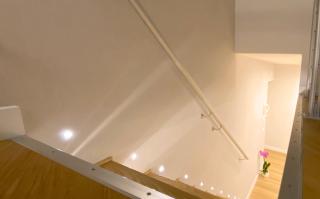 Palm's House - 4