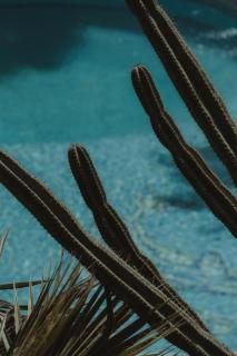 Nonna's Boutique Hotel - 1