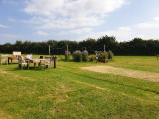 Luxury Safari Lodge surrounded by deer!! 'Fallow' - 5