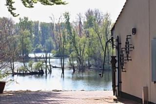 Ferienwohnung Fischerhütte Xanten - Xanten - 7