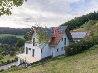 Ferienwohnungen am Dollenberg - Bad Peterstal-Griesbach - 0