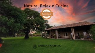 Garda Relais Antica Romelia - Montichiari - 9