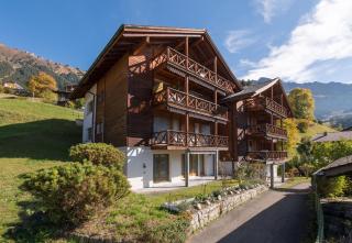 Chalet Rose Penthouse Residence - Wengen - 4