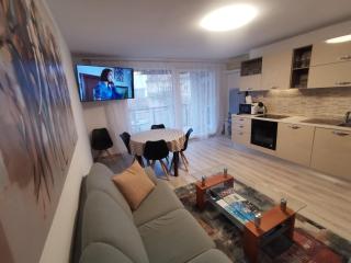 Apartment Budin 2, Rijeka center - Rijeka - 3