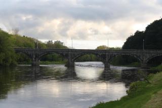 Palmgrove Bed & Breakfast - Listowel - 3