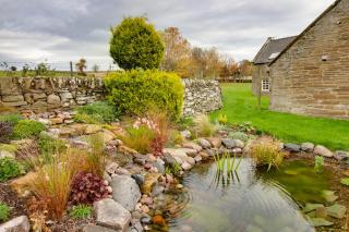 Home Farm B&B - Poppy Room - Forfar - 1