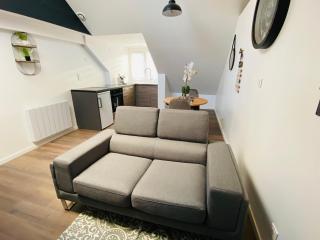 Charmant T2 atypique Industriel - 5