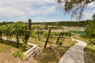 Shiraz & Chardonnay Haus - Lago Vista - 6