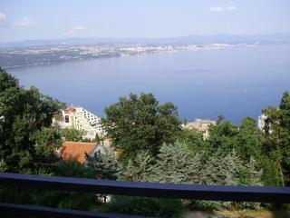 Apartment Ana - Opatija - 9