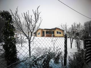 "Porodica MARKOVIC" Borsko jezero - Beljevina - 2