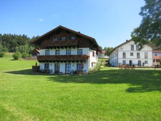 Ferienhof Landhaus Michael - Böbrach - 7