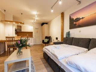 Feriendorf Rugana - Komfortplus 1-Raum Appartement mit Terrasse A41 - Dranske - 8