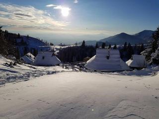 Chalet Resa - Velika planina - Stahovica - 1