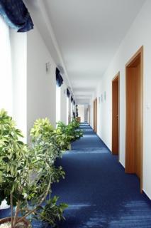Hotel U Karla - Prague - 5