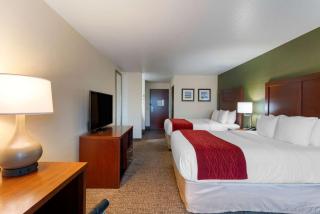Comfort Inn & Suites Salem - Salem - 3