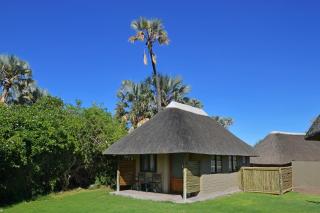 Palmwag Lodge - Palm - 2