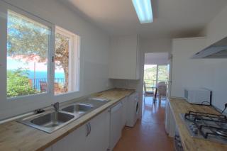 Alconasser 2 - Amazing Seaviews between Deia & Soller - Sóller - 1