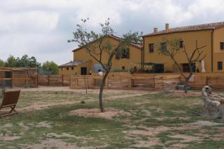 Masia en plena naturaleza y tranquilidad - Sant Quintí de Mediona - 7