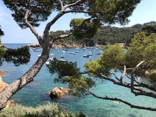 Illa Blanca Mar Fornells - Begur - 0