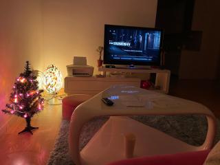 Lovely Modern Apartment - Lake Jarun - Zagabria - 3