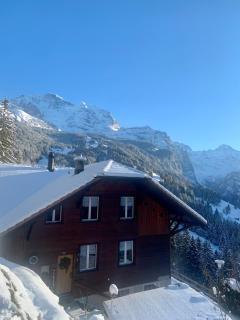 Chalet Aargovia - Wengen - 0