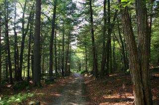 Rustic Updated Cozy Lake House! Close to skiing! - 2