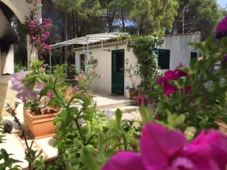 Studio apartment in Veli Rat with sea view, balcony, washing machine 882-1 - Veli Rat - 7