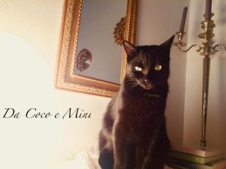 Da Coco e Mini,l'angolo per ceramiste in viaggio - - Faenza - 6