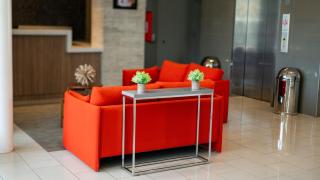 Royal Delonix - 6