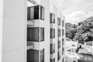 Royal Delonix - 4