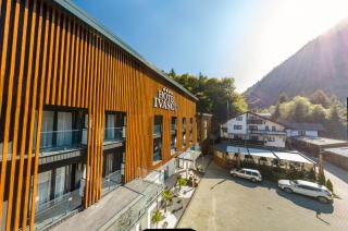Hotel Ivascu - 0