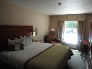 Comfort Inn Greenville - Haywood Mall - Greenville - 1