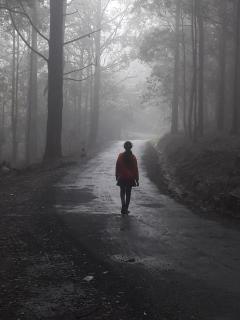 Ohiya Jungle resort - 2