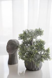 RentWill apartments Valley of Roses - Sectorul Botanica - 6