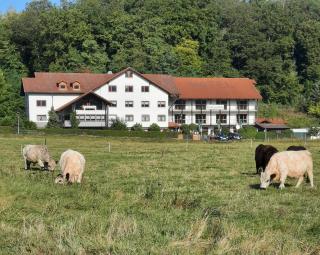 Landgasthof Rotlipp Gästezimmer - Ortenberg - 7
