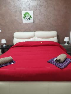 BED&FLY NEAR AIRPORT FONTANAROSSA BAGNO PRIVATO In CAMERA - Catania - 8