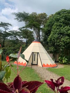 Bosque de Aventura & Glamping El Faro - 4