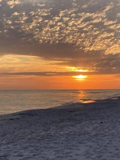 Ocean House 1406 condo - 8