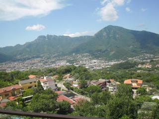 Agriturismo La Selva - 0