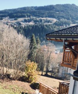 Chalet Style Studio Near The Slopes - Demi-Quartier - 9